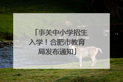 事关中小学招生入学！合肥市教育局发布通知