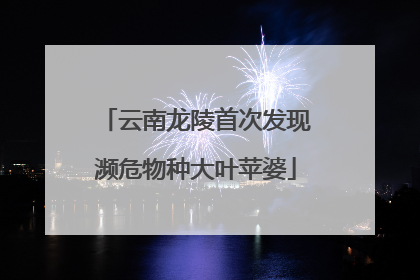 云南龙陵首次发现濒危物种大叶苹婆