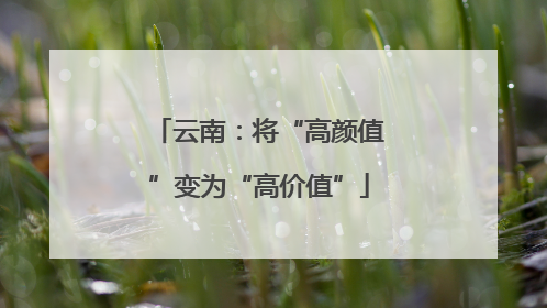 云南：将“高颜值”变为“高价值”
