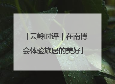 云岭时评｜在南博会体验旅居的美好