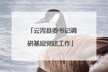 云霄县委书记调研基层党建工作