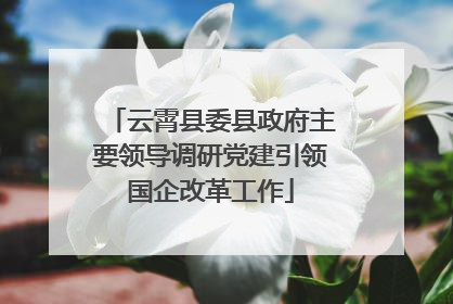 云霄县委县政府主要领导调研党建引领国企改革工作