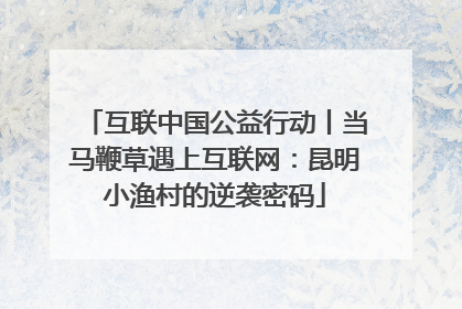 互联中国公益行动丨当马鞭草遇上互联网：昆明小渔村的逆袭密码