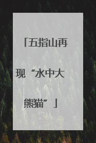 五指山再现“水中大熊猫”