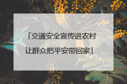 交通安全宣传进农村 让群众把平安带回家