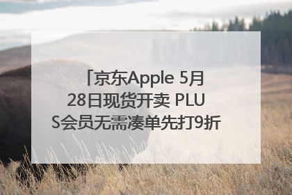京东Apple 5月28日现货开卖 PLUS会员无需凑单先打9折再叠618优惠