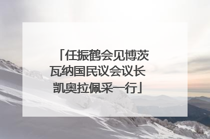 任振鹤会见博茨瓦纳国民议会议长凯奥拉佩采一行