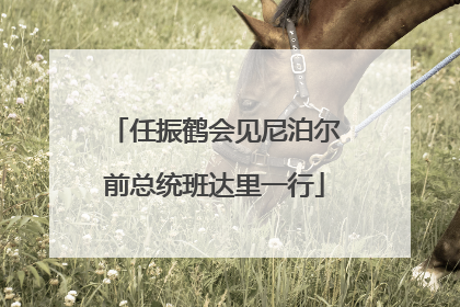 任振鹤会见尼泊尔前总统班达里一行