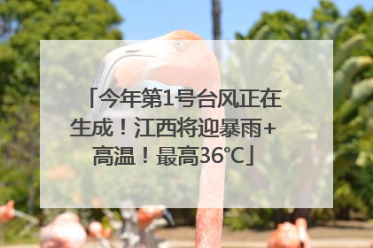 今年第1号台风正在生成！江西将迎暴雨+高温！最高36℃