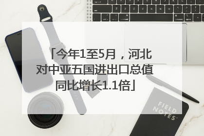 今年1至5月，河北对中亚五国进出口总值同比增长1.1倍