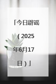 今日辟谣（2025年6月17日）
