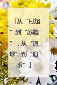 从“村超”到“苏超”，从“追球”到“追求”