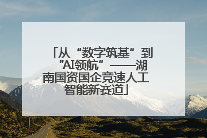 从“数字筑基”到“AI领航”——湖南国资国企竞速人工智能新赛道