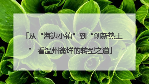 从“海边小镇”到“创新热土” 看温州翁垟的转型之道