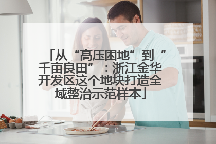 从“高压困地”到“千亩良田”：浙江金华开发区这个地块打造全域整治示范样本