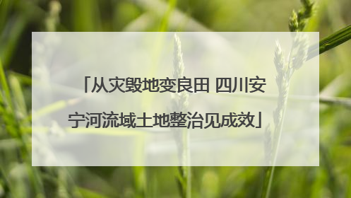 从灾毁地变良田 四川安宁河流域土地整治见成效