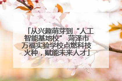 从兴趣萌芽到“人工智能基地校” 菏泽市万福实验学校点燃科技火种，赋能未来人才