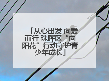 从心出发 向爱而行 珠晖区“向阳花”行动守护青少年成长