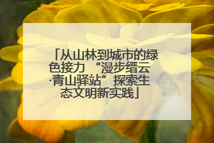 从山林到城市的绿色接力 “漫步缙云·青山驿站”探索生态文明新实践