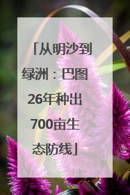 从明沙到绿洲：巴图26年种出700亩生态防线