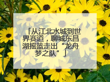 从江北水城到世界赛道，聊城东昌湖摇篮走出“龙舟梦之队”