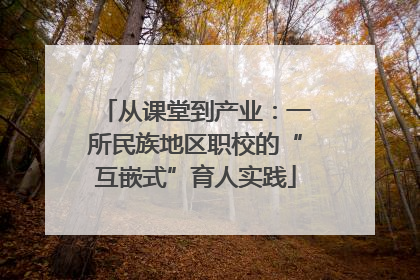 从课堂到产业：一所民族地区职校的“互嵌式”育人实践