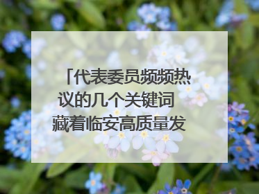 代表委员频频热议的几个关键词 藏着临安高质量发展的密码
