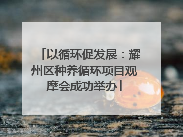以循环促发展：耀州区种养循环项目观摩会成功举办
