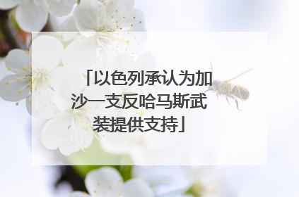 以色列承认为加沙一支反哈马斯武装提供支持