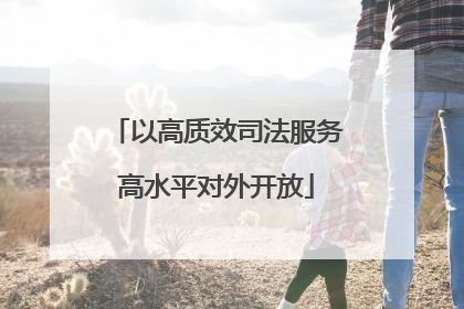以高质效司法服务高水平对外开放