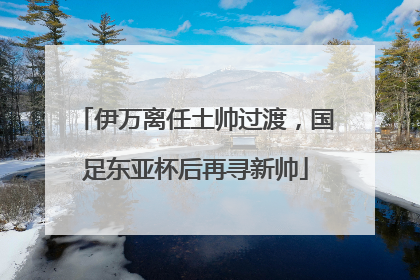 伊万离任土帅过渡，国足东亚杯后再寻新帅