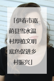伊春市嘉荫县雪水温村厚植文明底色促进乡村振兴
