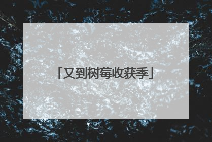 又到树莓收获季