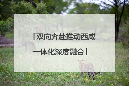双向奔赴推动西咸一体化深度融合