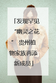 发现罕见“幽灵之花” 贵州植物家族再添新成员