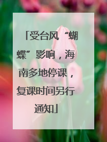 受台风“蝴蝶”影响，海南多地停课，复课时间另行通知
