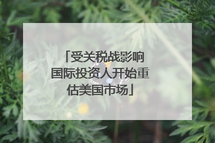 受关税战影响 国际投资人开始重估美国市场