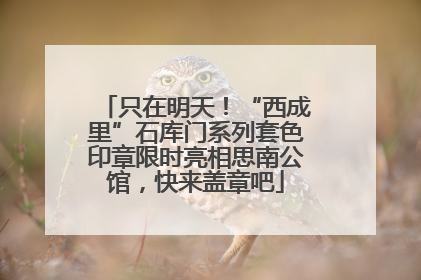 只在明天！“西成里”石库门系列套色印章限时亮相思南公馆，快来盖章吧