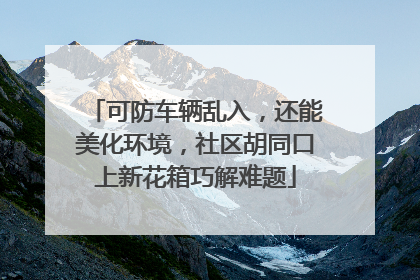 可防车辆乱入，还能美化环境，社区胡同口上新花箱巧解难题