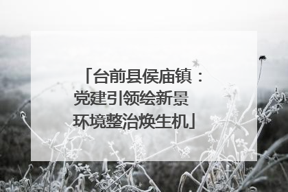 台前县侯庙镇：党建引领绘新景 环境整治焕生机