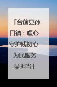 台前县孙口镇：暖心守护践初心 为民服务显担当