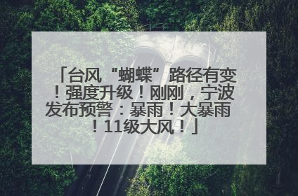 台风“蝴蝶”路径有变！强度升级！刚刚，宁波发布预警：暴雨！大暴雨！11级大风！