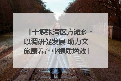 十堰张湾区方滩乡：以调研促发展 助力文旅康养产业提质增效