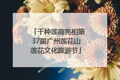 千种莲荷亮相第37届广州莲花山莲花文化旅游节