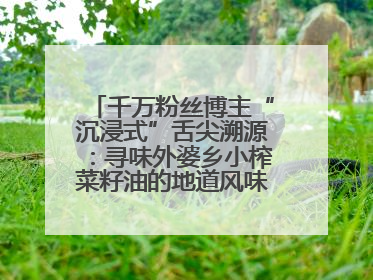千万粉丝博主“沉浸式”舌尖溯源：寻味外婆乡小榨菜籽油的地道风味与安全