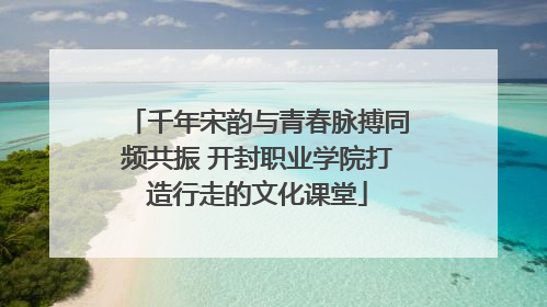 千年宋韵与青春脉搏同频共振 开封职业学院打造行走的文化课堂