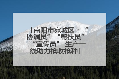 南阳市宛城区：“协调员”“帮扶员”“宣传员” 生产一线助力抢收抢种