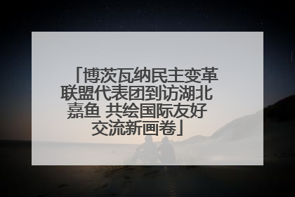 博茨瓦纳民主变革联盟代表团到访湖北嘉鱼 共绘国际友好交流新画卷