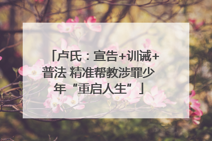 卢氏：宣告+训诫+普法 精准帮教涉罪少年“重启人生”