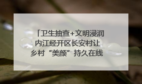 卫生抽查+文明浸润 内江经开区长安村让乡村“美颜”持久在线｜万千气象看四川